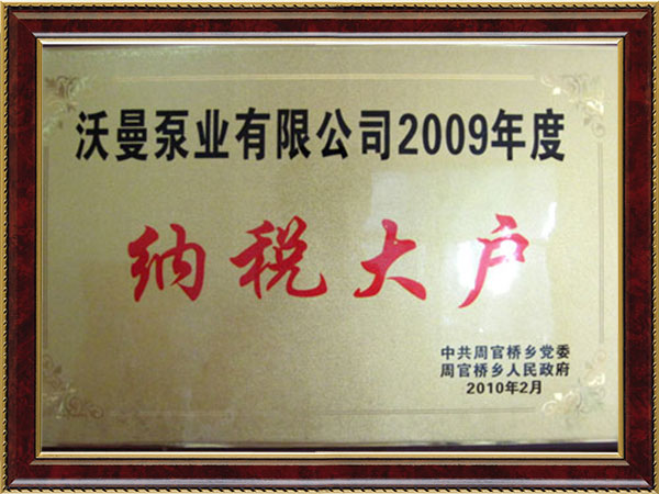 2009年納稅大戶