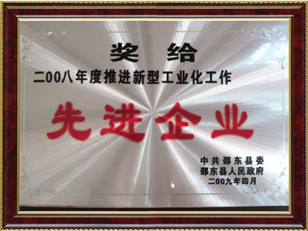 2008年先進企業(yè)