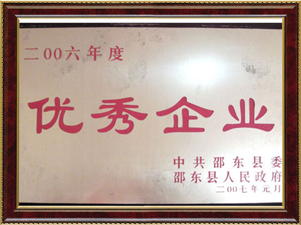 2006優(yōu)秀企業(yè)